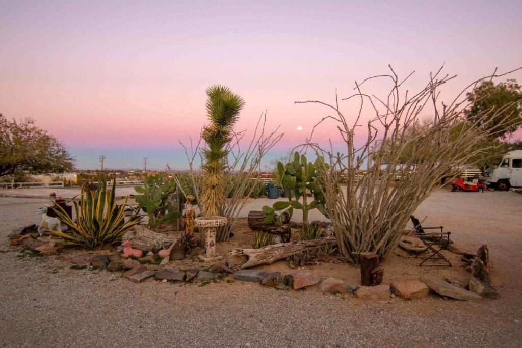 Joshua Tree Ranch House Motel - Downtown - Room #6 Bagian luar foto