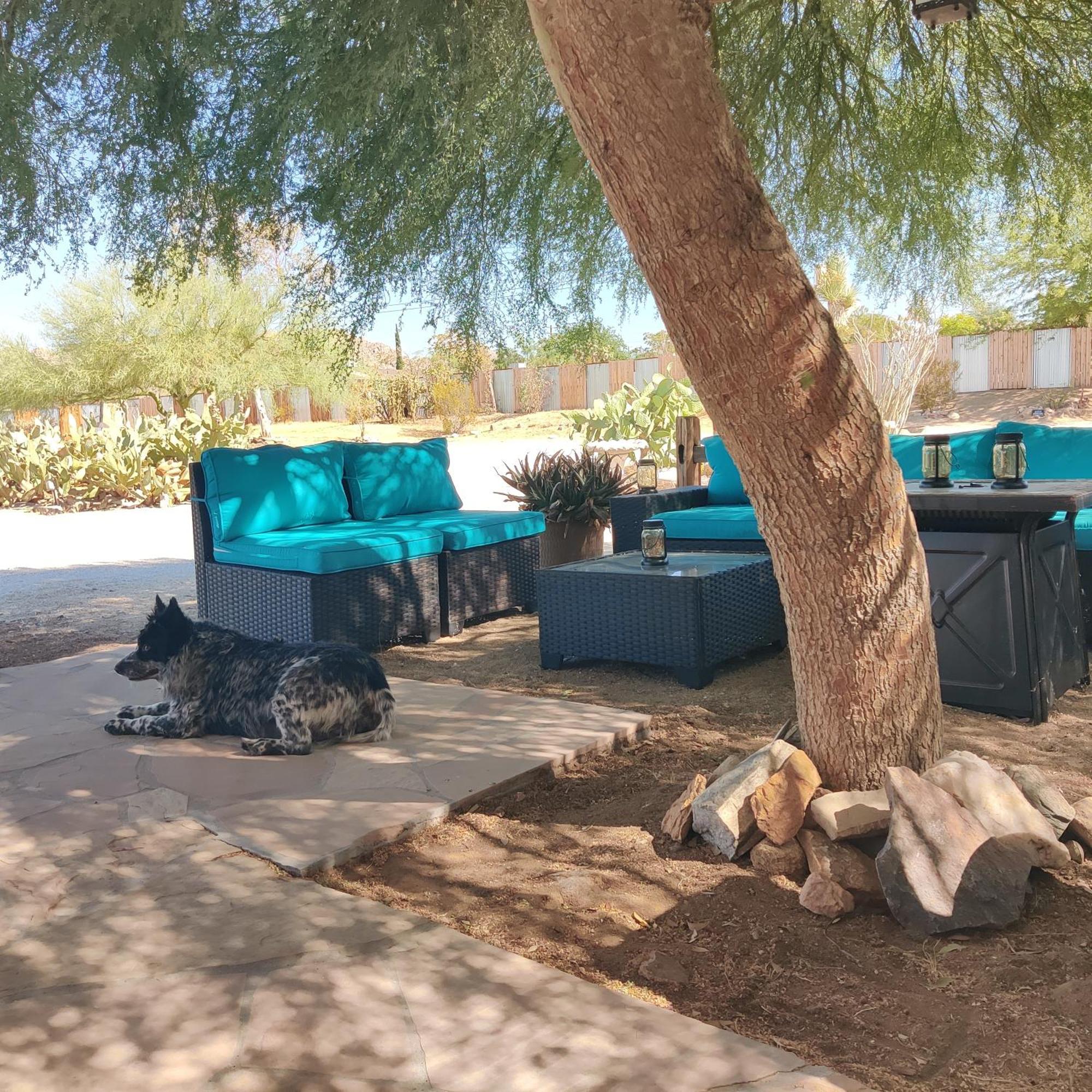 Joshua Tree Ranch House Motel - Downtown - Room #6 Bagian luar foto